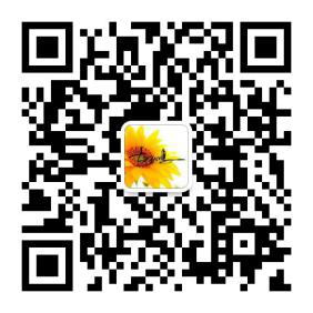奔腾 奔腾B70 手工舒适型 空间大 动力强 家庭最佳选择车