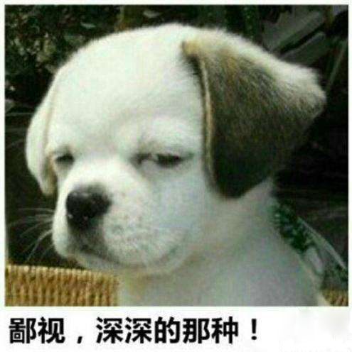 做二手车遇见的极品,真是哭笑不能!