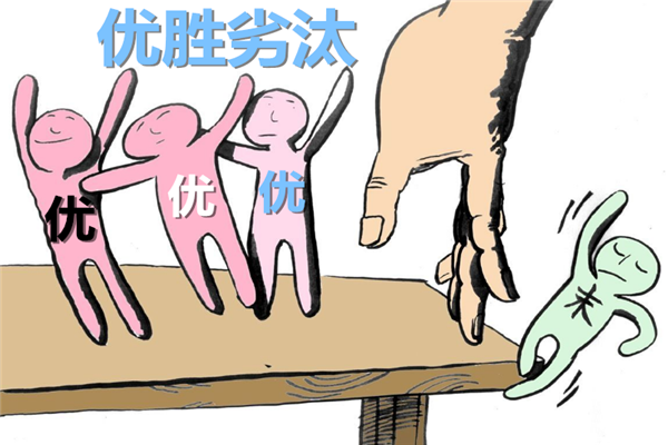 没电工证,修了10年车的他,差点被开除!