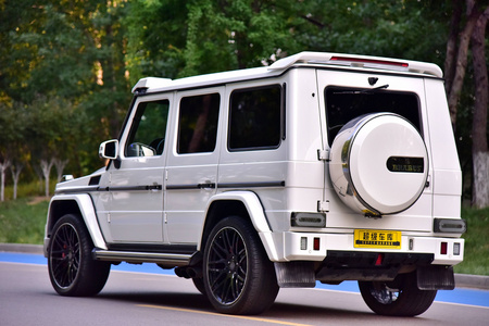 枣庄二手奔驰G级 2013款 G 500