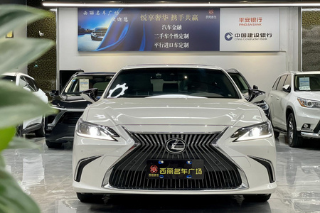潮州二手雷克萨斯ES 2018款 260 卓越版 国VI
