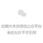 特斯拉自动驾驶3次撞飞假人,小鹏辅助驾驶撞飞真人,智能驾驶真的智能吗?